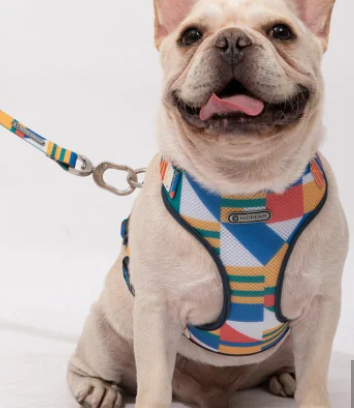 Pet Supplies & Pet